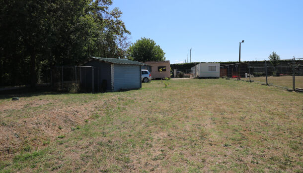 Terrain  à vendre Saint-Just-Luzac 17320