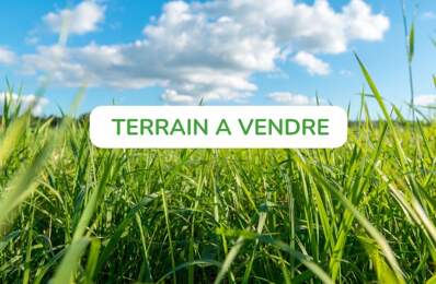 Programme Rue de Thann à ASPACH-LE-BAS — photo du bien