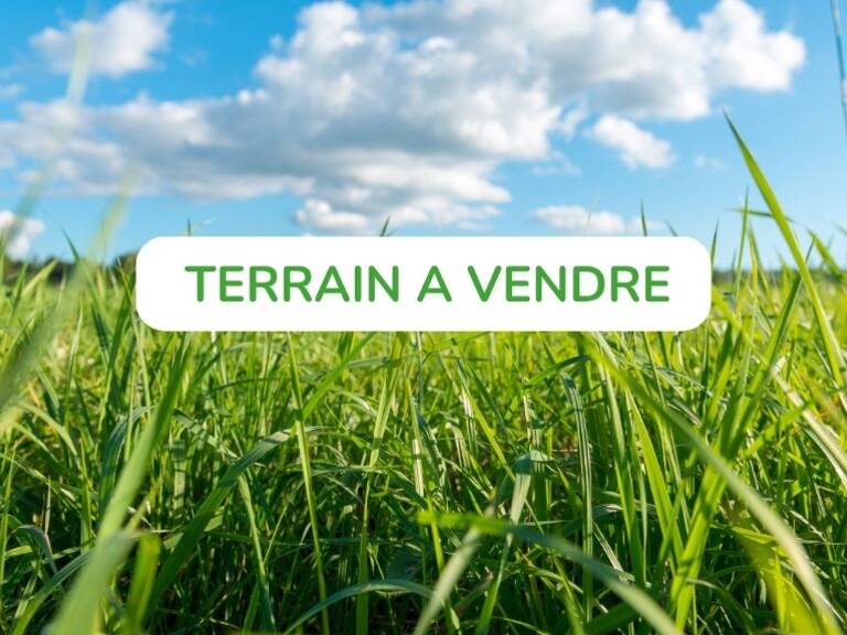 Programme Rue de Thann à ASPACH-LE-BAS — photo 1