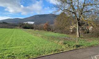 Terrain  578 m² à vendre à Châtenois (67730)