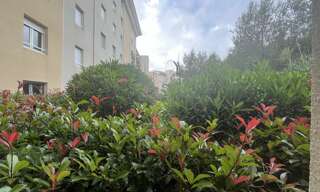 Appartement 2 Pièces 39 m² à louer à Bastia (20200)