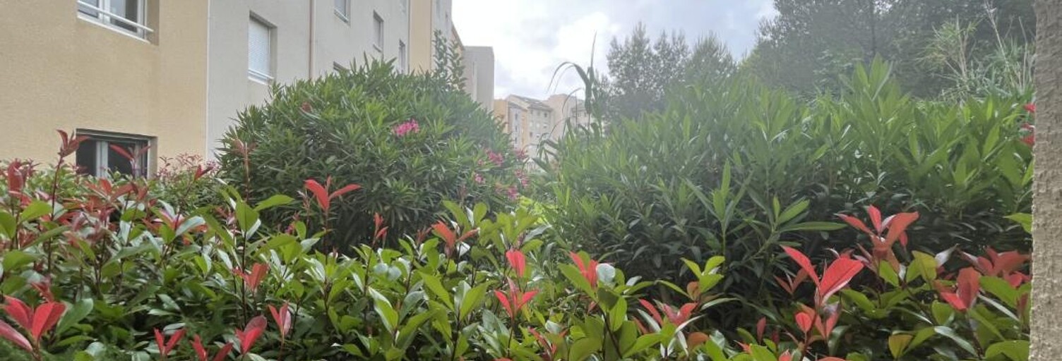 Appartement 2 Pièces 39 m² à louer à Bastia (20200)