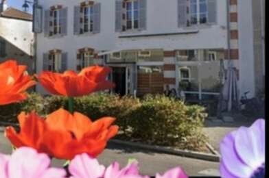 Commerce 9 pièces 296800 €