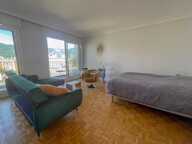 Exclusivité GRENOBLE CENTRE appartement 2 pièces 33 m² + Large Balcon — photo 3