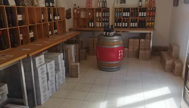 Villa / Maison 6 pièces  à vendre Puissalicon 34480