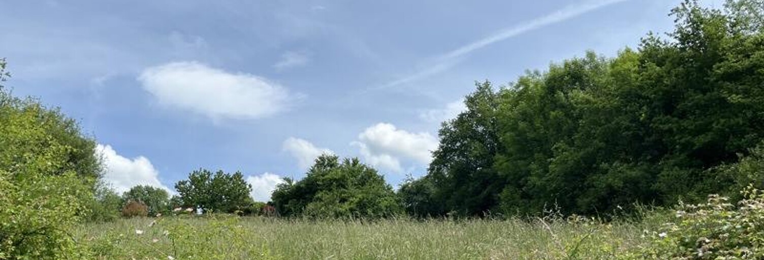 Terrain  8294 m² à vendre à Vignols (19130)