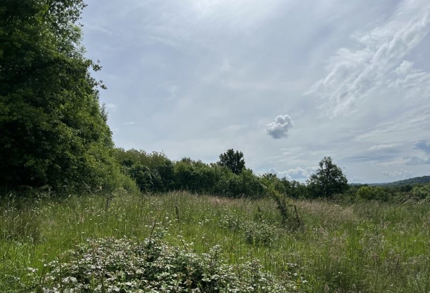 Terrain à bâtir de 0 pièces principales — photo 1