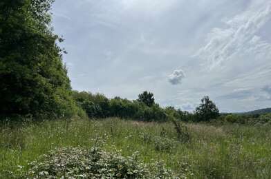 Terrain  35000 €