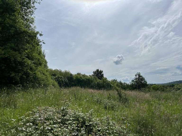 Terrain à bâtir de 0 pièces principales — photo 1