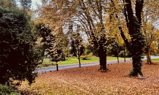 Appartement 3 Pièces 59 m² à vendre à Grenoble (38100)