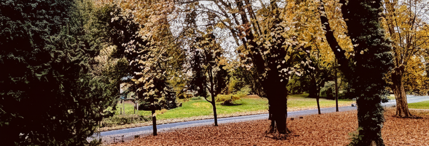 Appartement 3 Pièces 59 m² à vendre à Grenoble (38100)