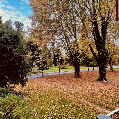 Appartement 3 pièces 83000 €