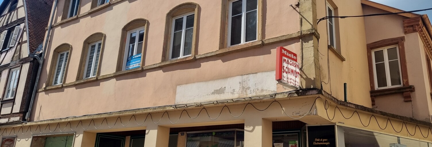 Immeuble  291 m² à vendre à Bitche (57230)