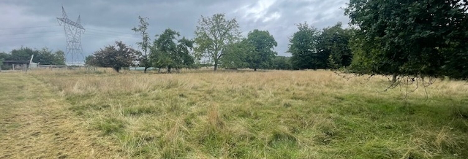 Terrain  6000 m² à vendre à Saint-Léger (77510)