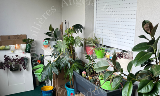Appartement 3 Pièces 52 m² à vendre à Vindry-sur-Turdine (69490)