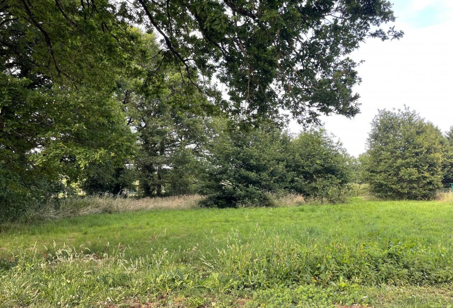 Terrain À Vendre — photo 1