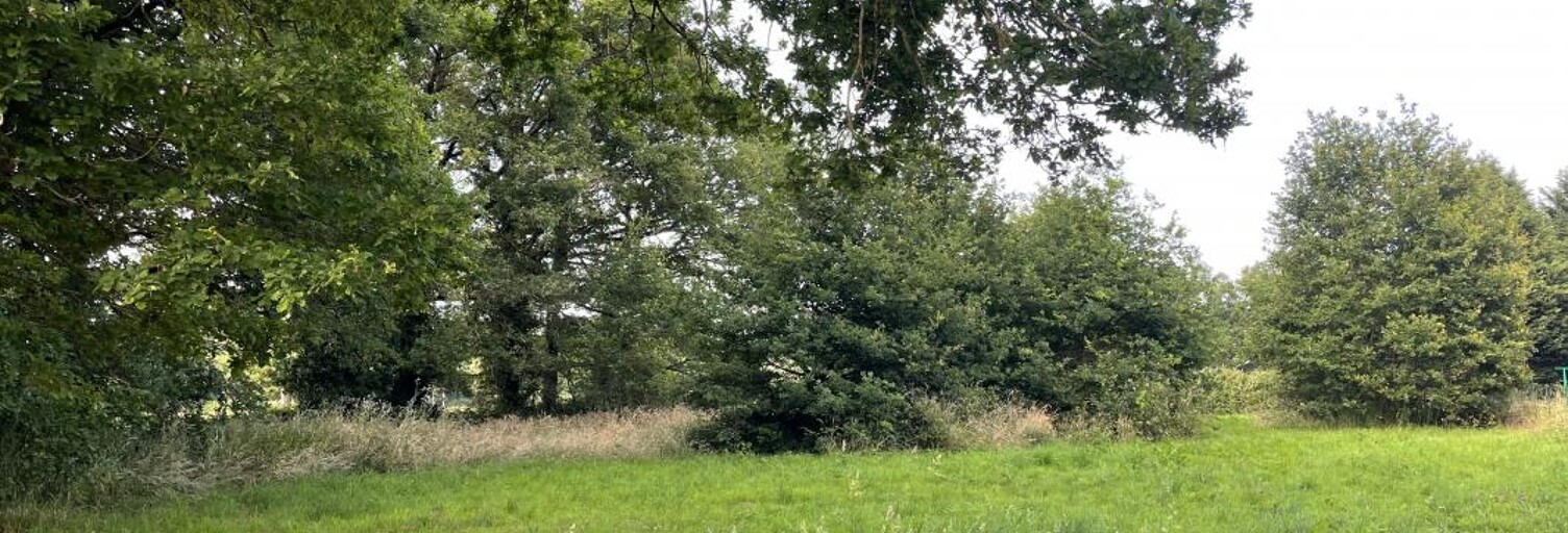 Terrain  1300 m² à vendre à Saint-Junien (87200)