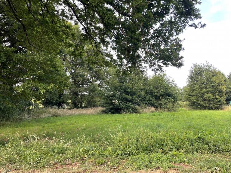 Terrain À Vendre — photo 1