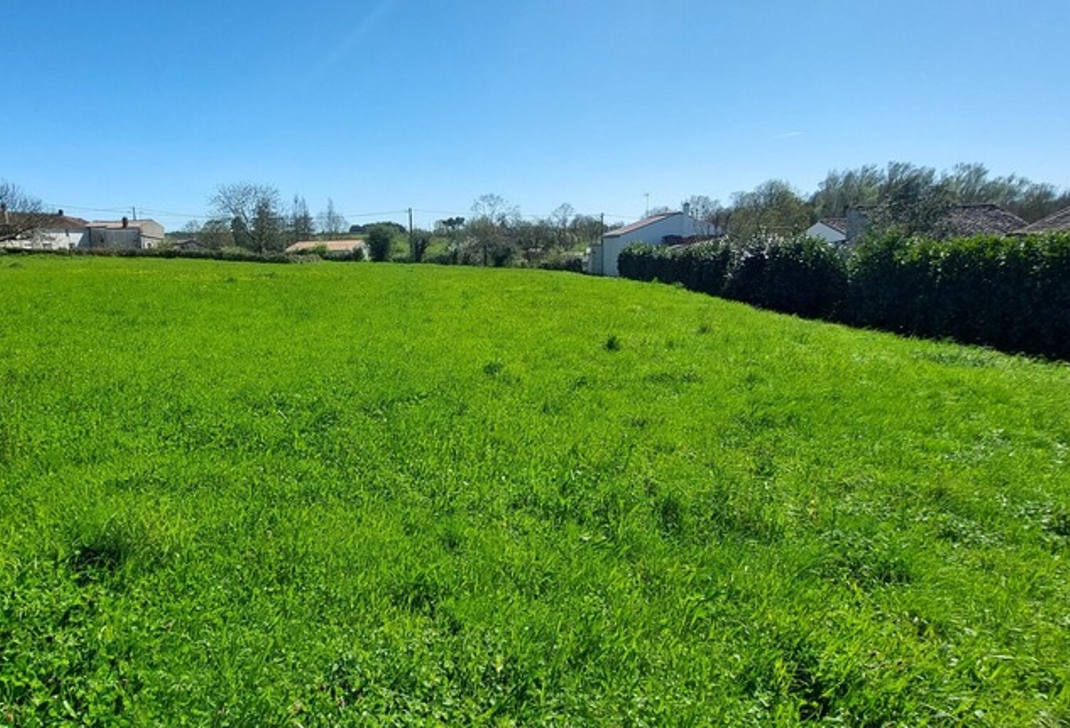 Terrain à vendre de 1 700 m² SAINT MICHEL LE CLOUCQ (85) — photo 1