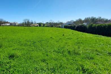 Terrain  56000 €