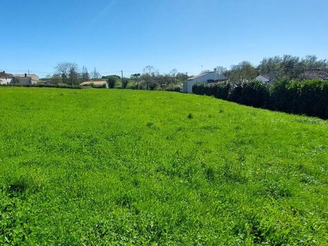 Terrain à vendre de 1 700 m² SAINT MICHEL LE CLOUCQ (85) — photo du bien