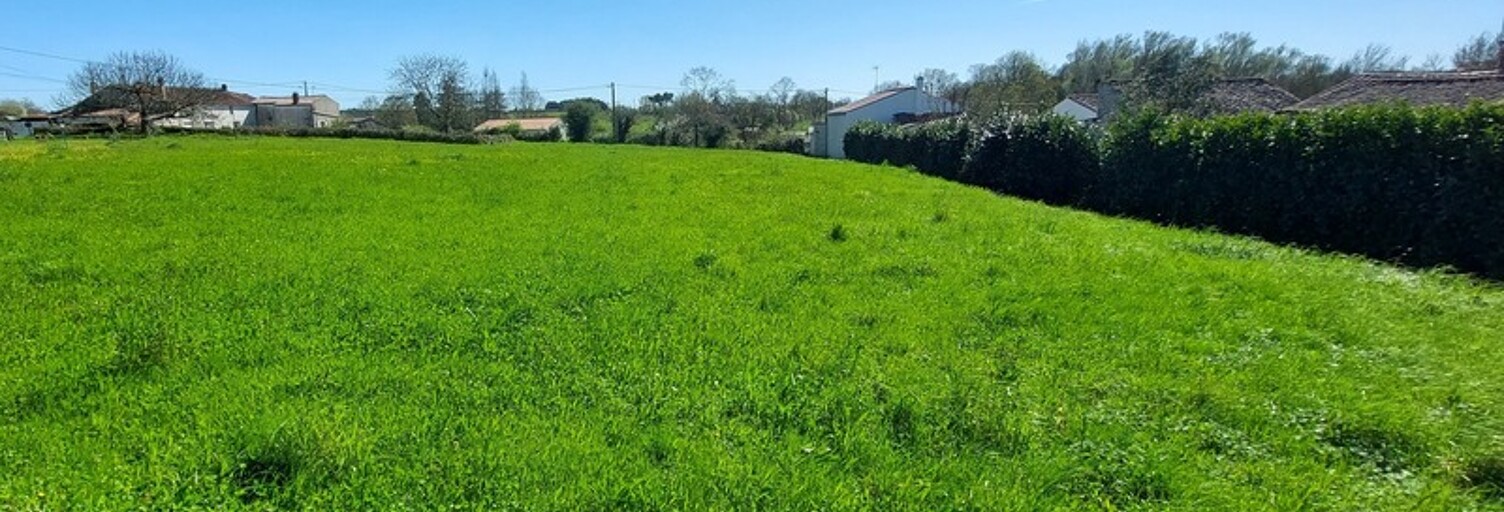 Terrain  1700 m² à vendre à Saint-Michel-le-Cloucq (85200)