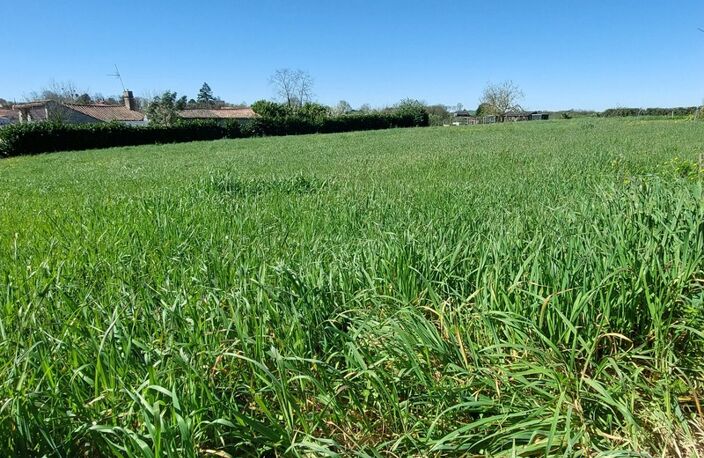 Terrain à vendre de 1 700 m² SAINT MICHEL LE CLOUCQ (85) — photo 4