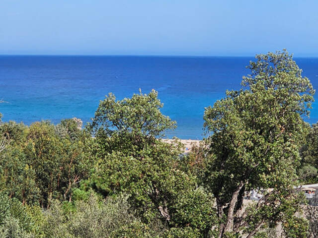 SARI SOLENZARA (20) MAISON 133m² TERRAIN de 772m² PISCINE A DEBORDEMENT - VUE MER — photo du bien