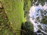 Terrain constructible — photo 2