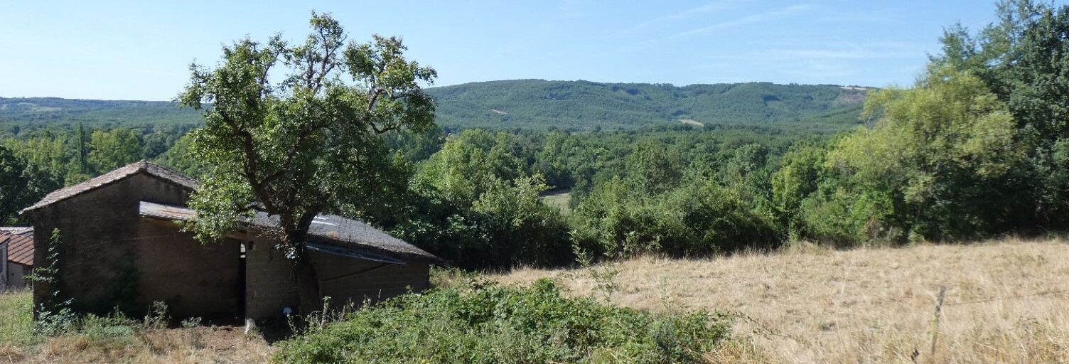 Terrain  15000 m² à vendre à Marnaves (81170)