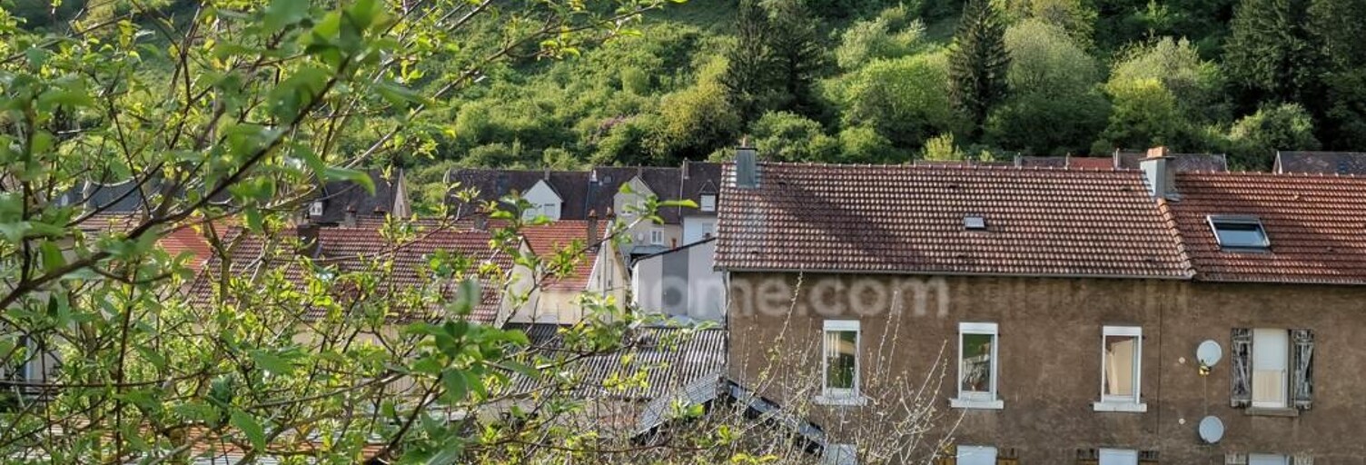 Appartement 5 Pièces 77 m² à vendre à Algrange (57440)