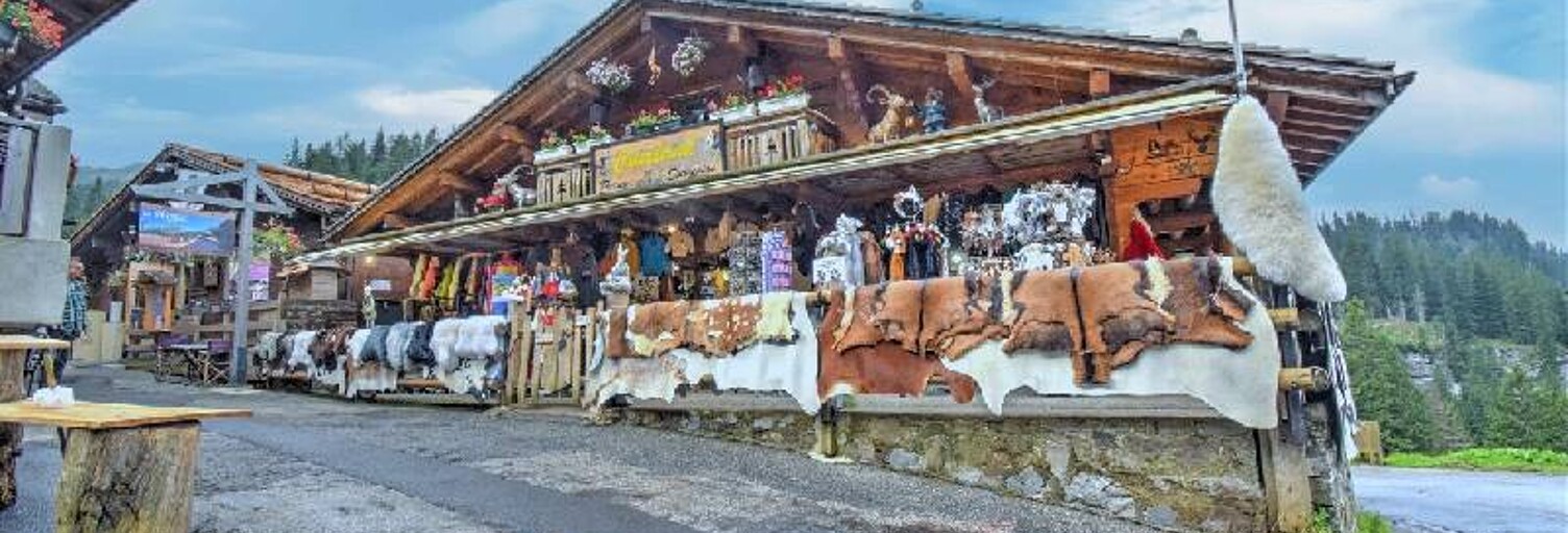 Maison  115 m² à vendre à Montriond (74110)