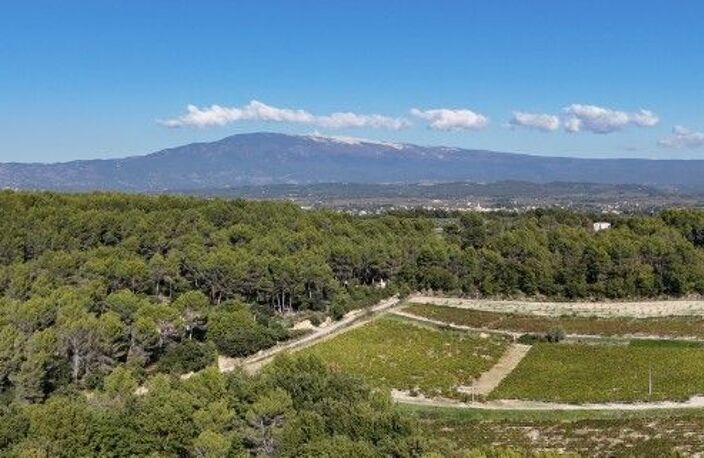 Villa parc de 25000 m2 — photo 3