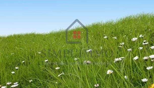 Terrain  à vendre Port-d'Envaux 17350