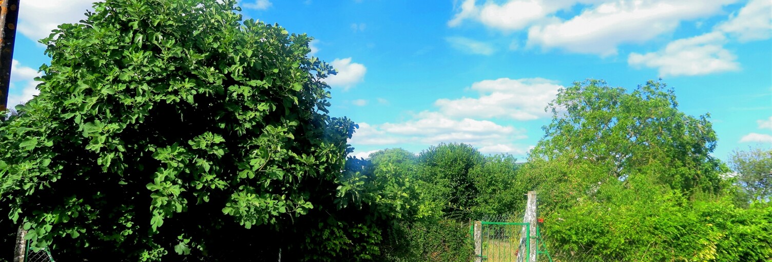 Terrain  338 m² à vendre à Lussac-les-Châteaux (86320)