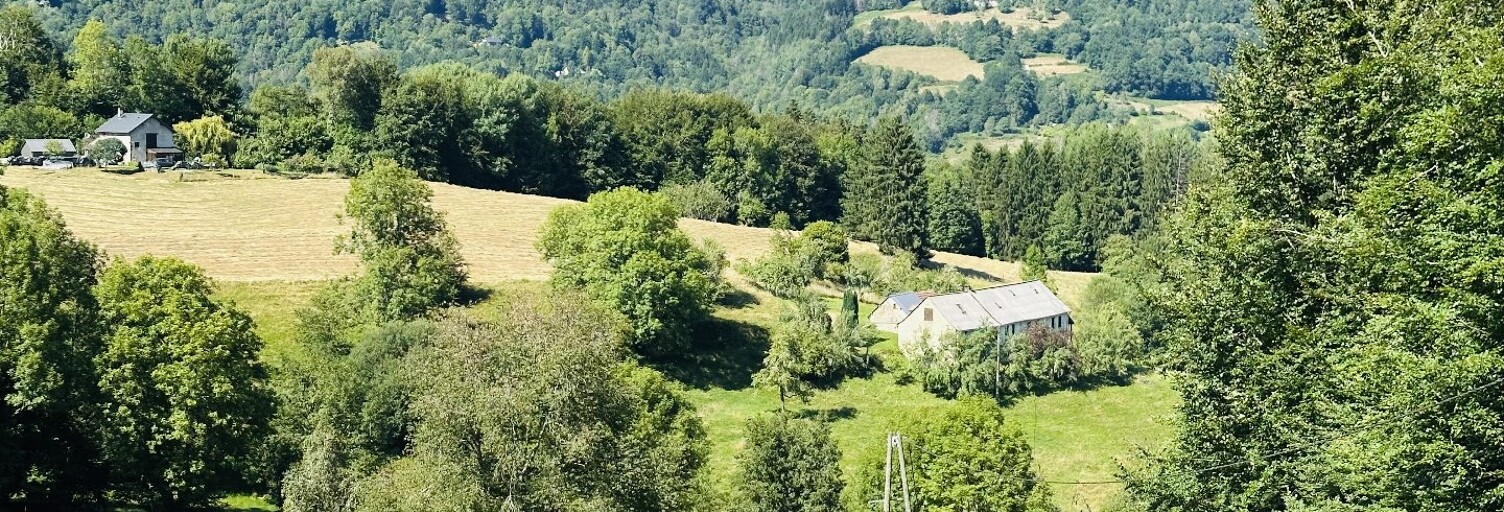 Maison 8 Pièces 160 m² à vendre à Massat (09320)