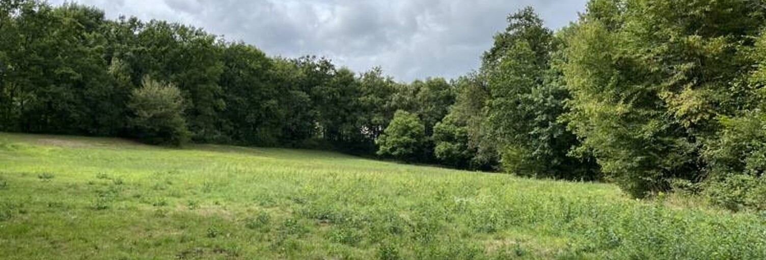 Terrain  12198 m² à vendre à Saint-Bonnet-la-Rivière (19130)