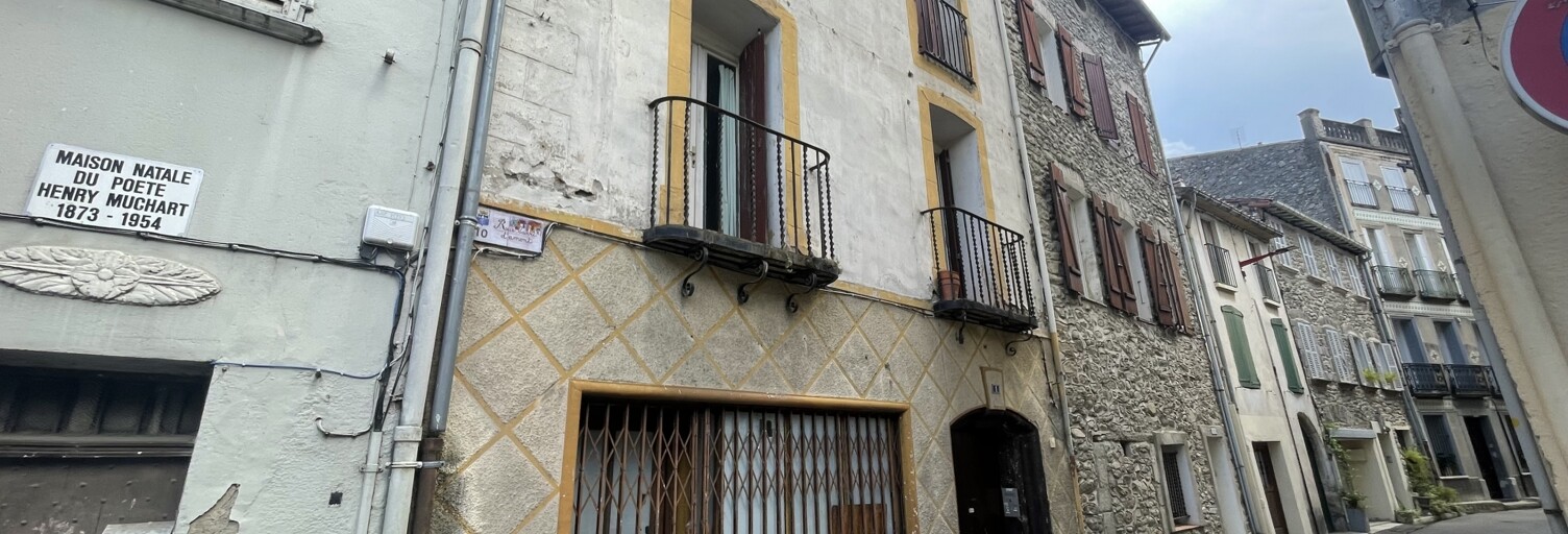 Immeuble  567 m² à vendre à Arles-sur-Tech (66150)