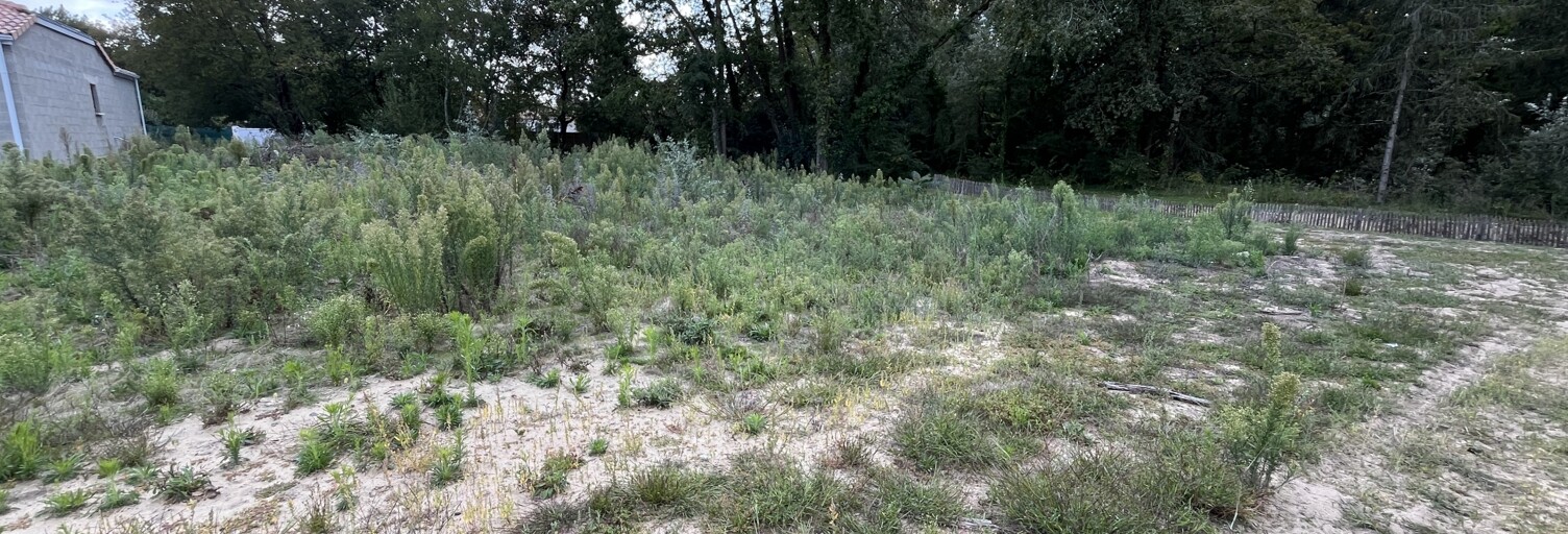 Terrain  557 m² à vendre à Saint-Hilaire-de-Riez (85270)