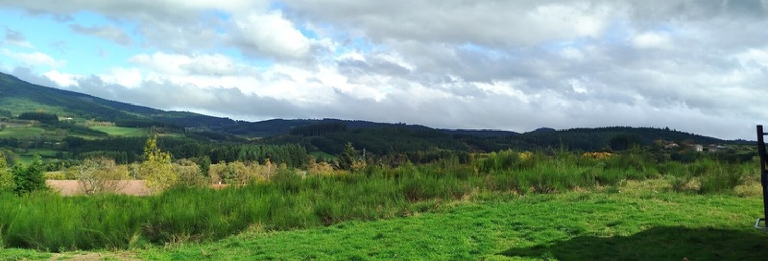 Terrain  3001 m² à vendre à Chabreloche (63250)