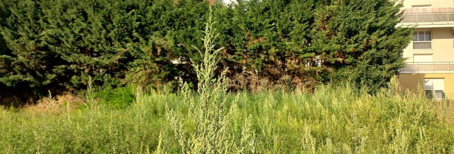 Terrain  442 m² à vendre à Saint-Rémy (71100)