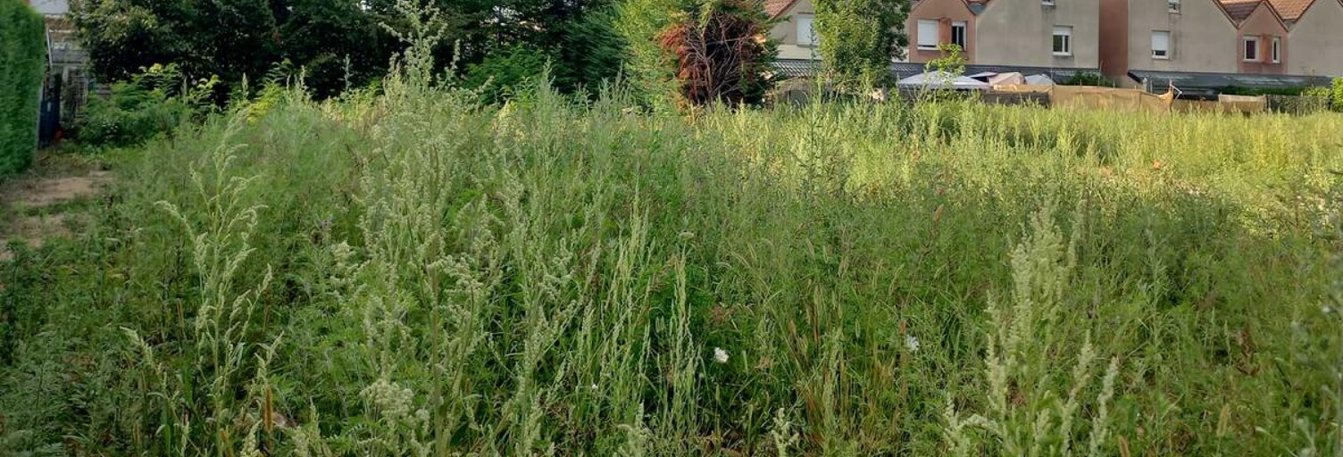 Terrain  456 m² à vendre à Saint-Rémy (71100)