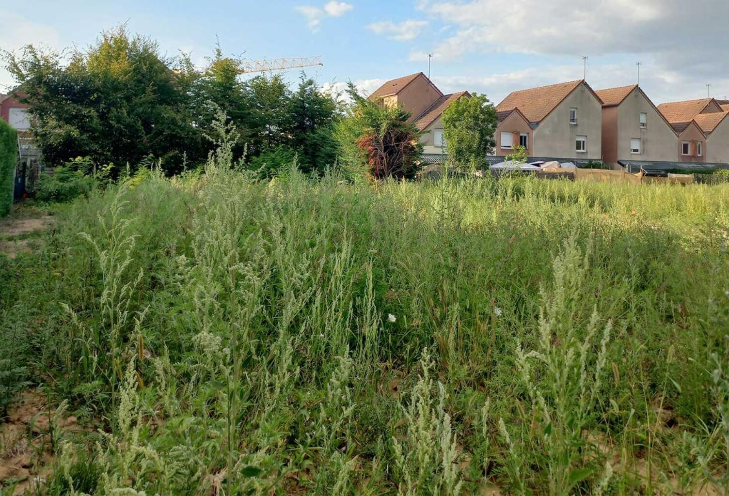 Terrain à bâtir -  456 m² — photo 1