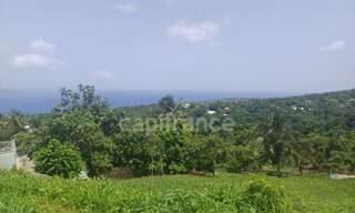 Terrain  1000 m² à vendre à Baillif (97123)