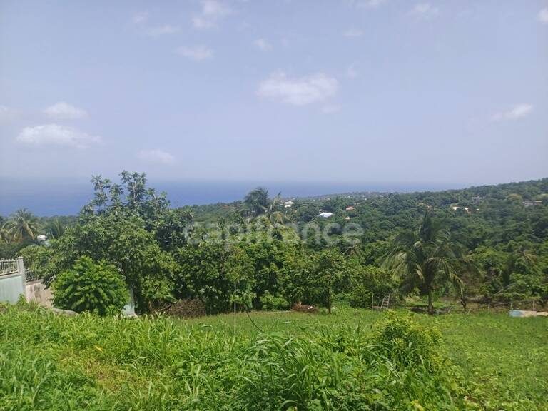 Terrain à vendre de 1 000,00 m² proche de Baillif (971) — photo 1