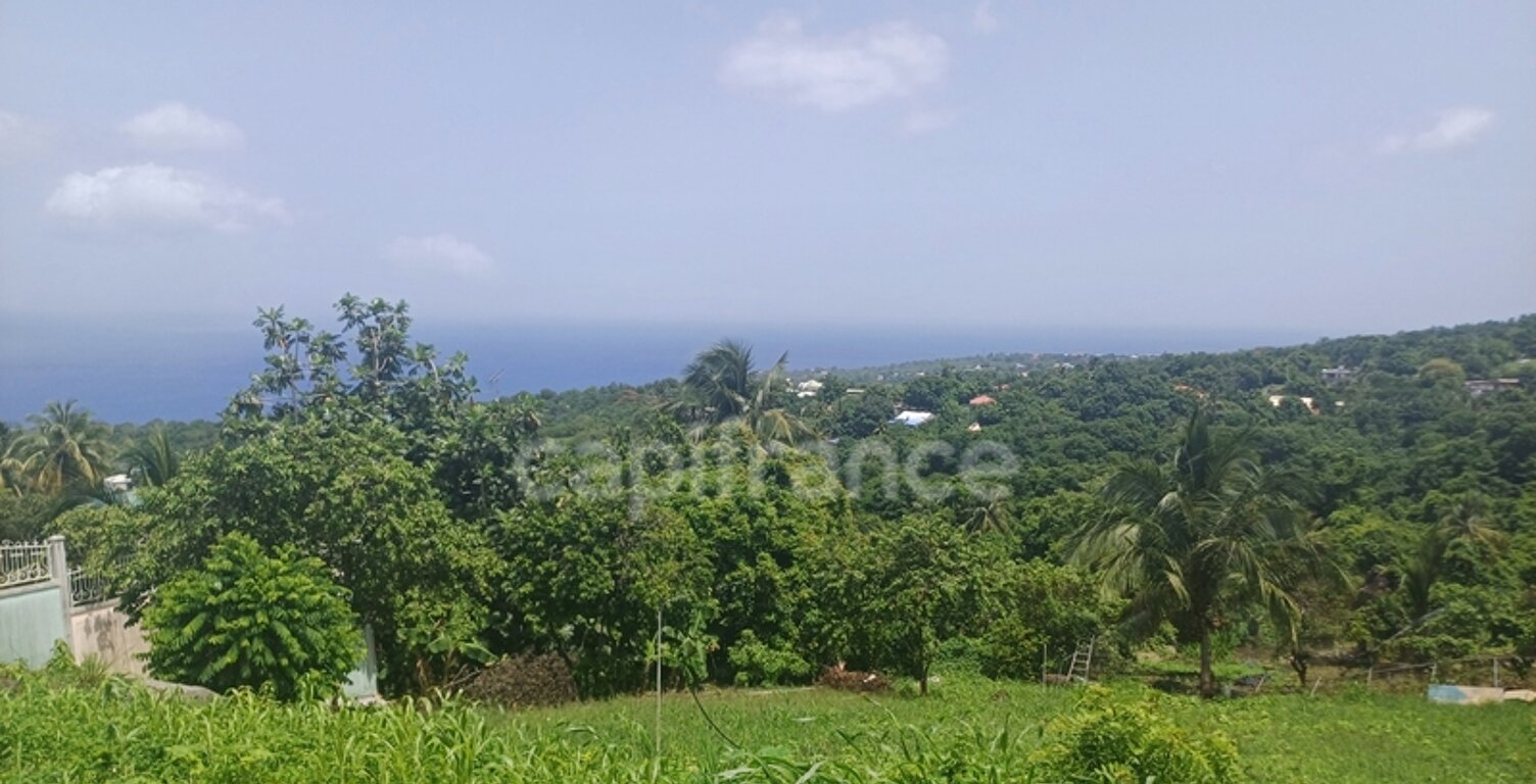 Terrain à vendre de 1 000,00 m² proche de Baillif (971) — photo 1