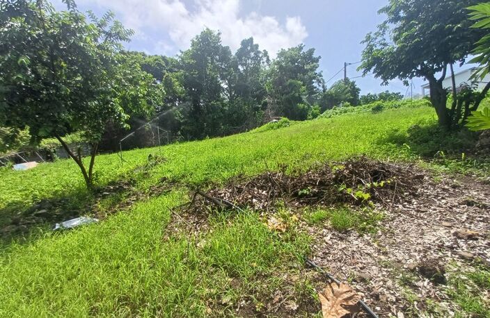 Terrain à vendre de 1 000,00 m² proche de Baillif (971) — photo 3