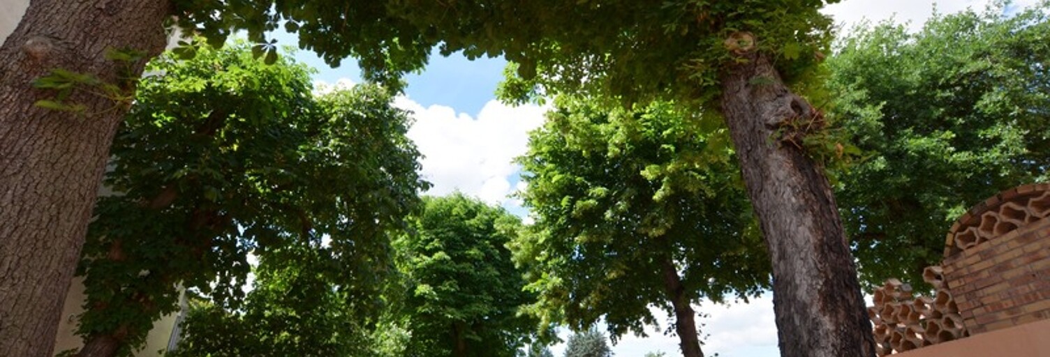 Maison 11 Pièces 395 m² à vendre à Roanne (42300)