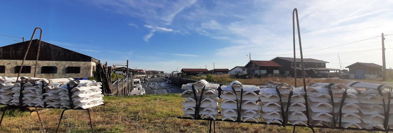 Terrain  5274 m² à vendre à Gujan-Mestras (33470)