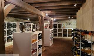 Maison 7 Pièces 210 m² à vendre à Mâcon (71000)